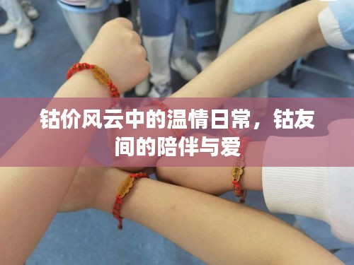 钴价风云中的温情日常,钴友间的陪伴与真挚的爱