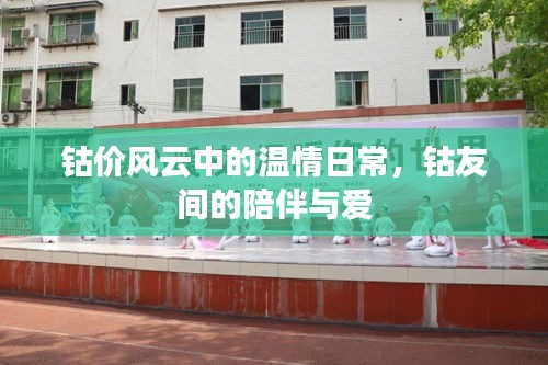 钴价风云中的温情日常,钴友间的陪伴与真挚的爱