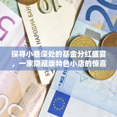 探寻神秘小巷基金分红盛宴,隐藏特色小店惊喜之旅