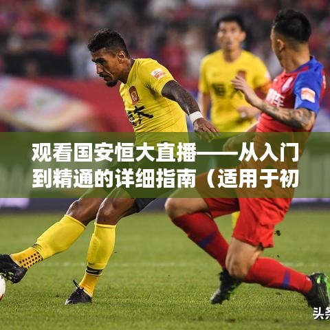 观看国安恒大直播,从新手到高手的全方位指南