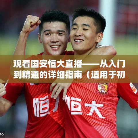 观看国安恒大直播,从新手到高手的全方位指南