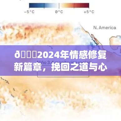 情感修复新篇章,心灵共鸣之旅与挽回之道,走向幸福的未来
