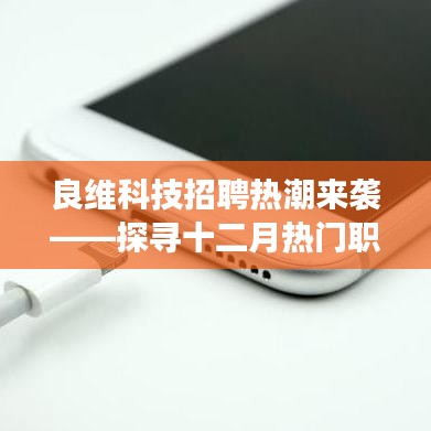 良维科技招聘热潮来袭,十二月热门职位与职业发展机遇深度探索