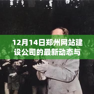12月14日郑州网站建设公司动态更新与行业洞察