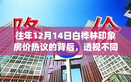 透视白桦林印象房价热议背后的不同观点与个人立场分析