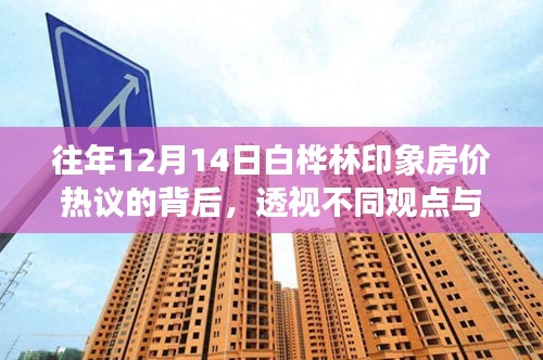 透视白桦林印象房价热议背后的不同观点与个人立场分析