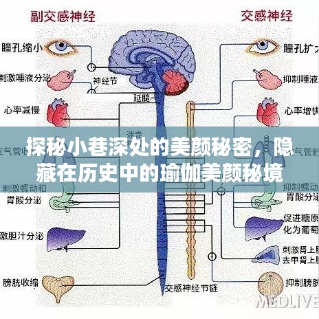 寥若晨星 第4页