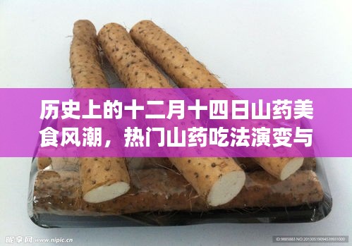 十二月十四日山药美食风潮,历史演变与热门吃法的探讨