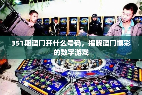 351期澳门开什么号码,揭晓澳门博彩的数字游戏