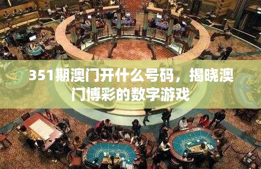 351期澳门开什么号码,揭晓澳门博彩的数字游戏
