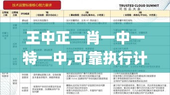 王中正一肖一中一特一中,可靠执行计划_Console7.765