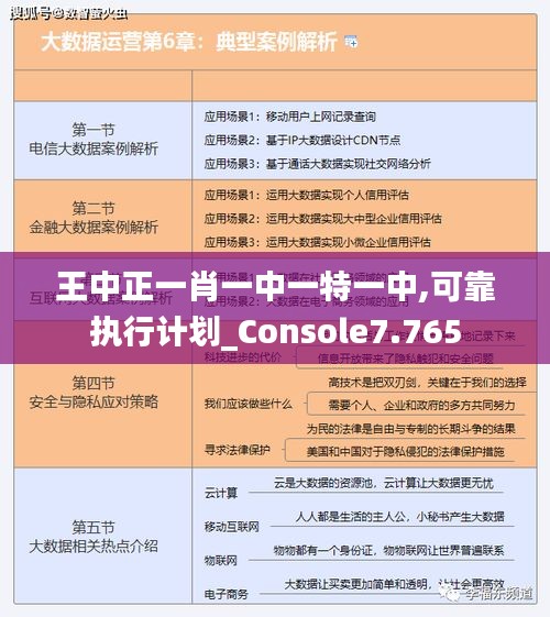 王中正一肖一中一特一中,可靠执行计划_Console7.765