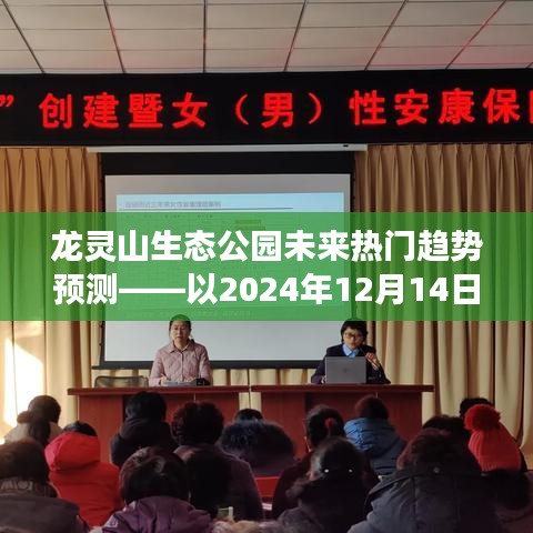 鸟面鹄形 第3页