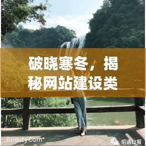 破晓寒冬,揭秘网站建设行业洞察与深度洞察的洞察日(12月14日)