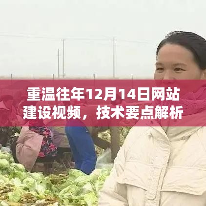 重温网站建设视频,技术要点解析与往年12月14日回顾