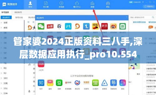 管家婆2024正版资料三八手,深层数据应用执行_pro10.554