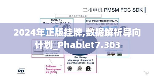 2024年正版挂牌,数据解析导向计划_Phablet7.303
