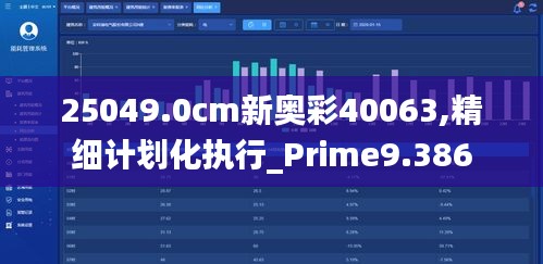 25049.0cm新奥彩40063,精细计划化执行_Prime9.386
