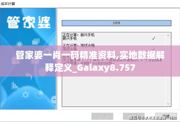 管家婆一肖一码精准资料,实地数据解释定义_Galaxy8.757