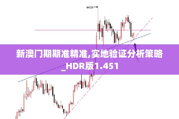 新澳门期期准精准,实地验证分析策略_HDR版1.451