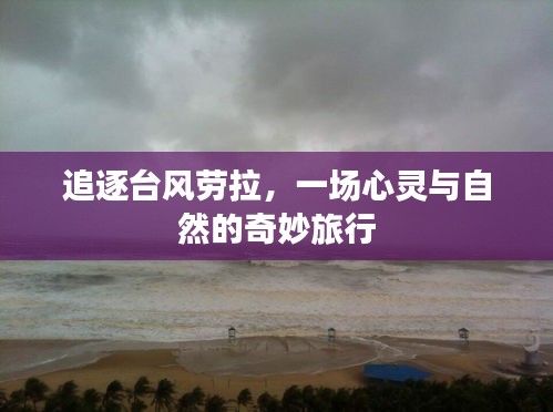 追逐台风劳拉,心灵与自然的冒险之旅