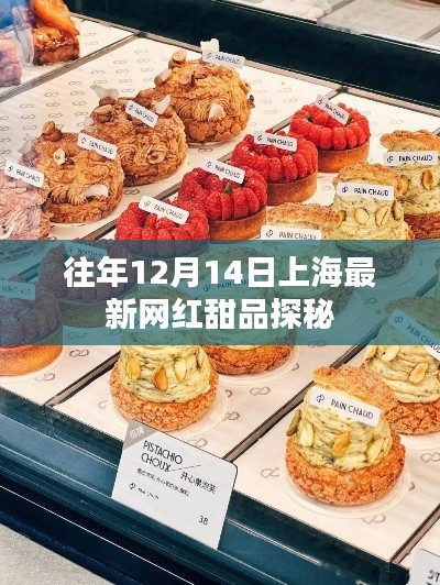 上海网红甜品探秘之旅，揭秘往年12月14日最新甜品风潮