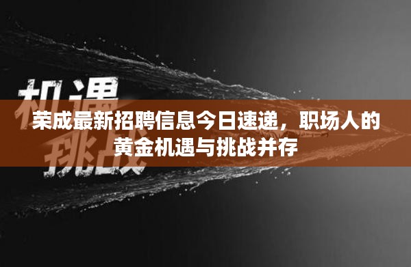 荣成最新招聘信息速递,职场黄金机遇与挑战并行