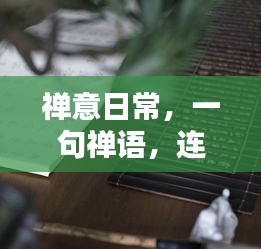 禅意日常,心灵深处的美好时光与禅语相连