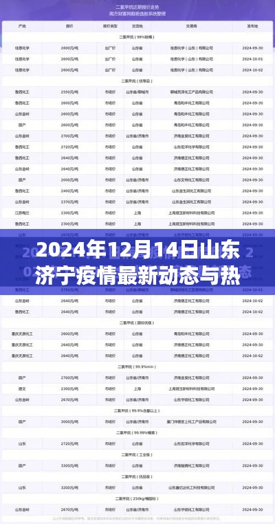 山东济宁疫情最新动态解析及热点探讨(2024年12月14日)