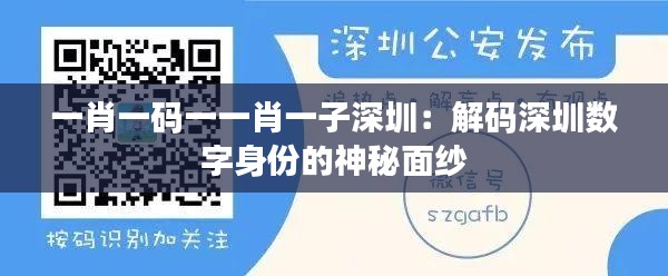 一肖一码一一肖一子深圳:解码深圳数字身份的神秘面纱