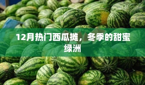 冬季甜蜜绿洲,12月热门西瓜摊