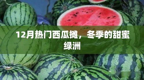 冬季甜蜜绿洲,12月热门西瓜摊