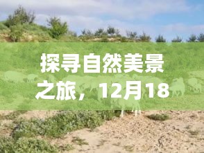 探寻自然美景之旅,宁静之地与肉羊最新价格揭秘