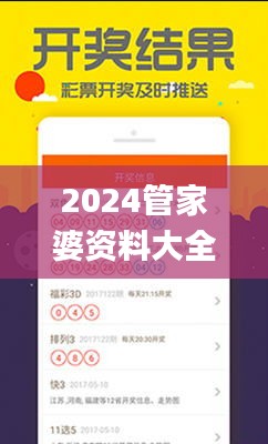 2024管家婆资料大全免费,综合分析解释定义_复刻版9.816