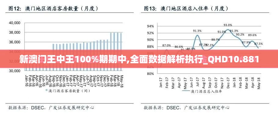 新澳门王中王100%期期中,全面数据解析执行_QHD10.881