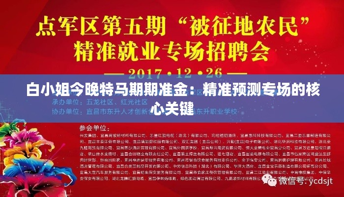 白小姐今晚特马期期准金:精准预测专场的核心关键