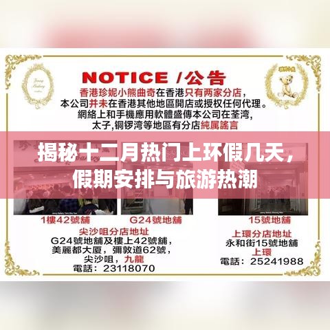 飞箭如蝗 第3页