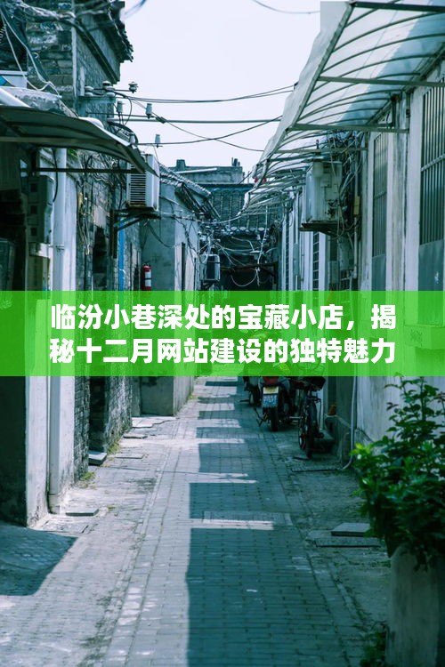 临汾小巷宝藏小店揭秘,十二月网站建设的独特魅力探索