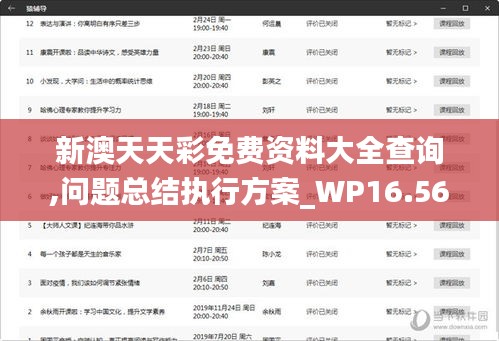 新澳天天彩免费资料大全查询,问题总结执行方案_WP16.567