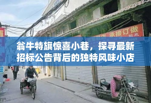 翁牛特旗惊喜小巷,探寻招标背后的独特风味小店风采