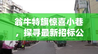 翁牛特旗惊喜小巷,探寻招标背后的独特风味小店风采