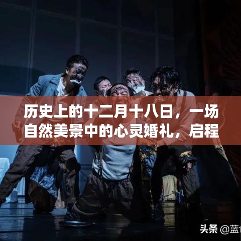 笼鸟槛猿 第4页