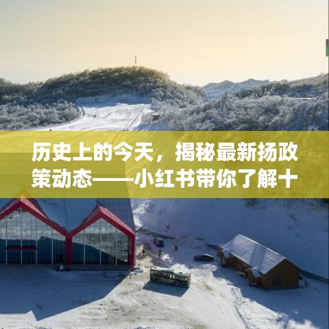 历史上的今天深度解析,小红书带你揭秘扬政策最新动态与变迁