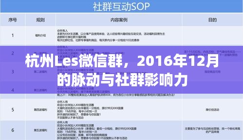 杭州Les微信群,2016年12月社群脉动与影响力探究