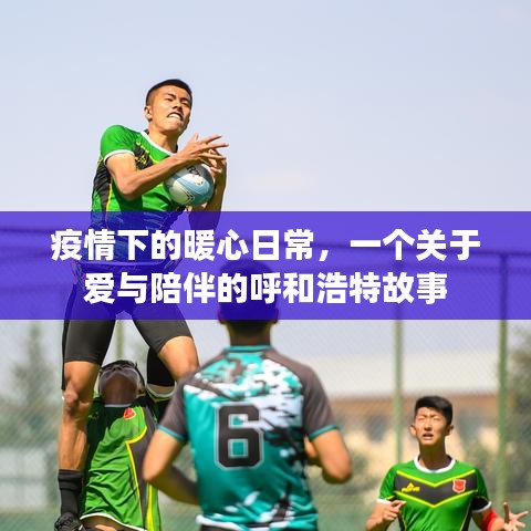 疫情下的暖心日常,呼和浩特的爱与陪伴故事