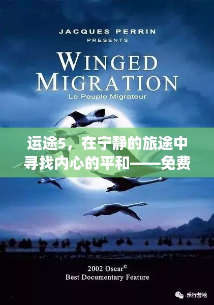 运途5,宁静之旅中的心灵平和——免费阅读全文