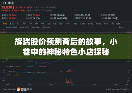 辉瑞股价预测背后的故事与小巷神秘特色小店探秘之旅