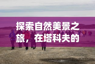 探寻塔科夫静谧之美,自然之旅与内心的平和喜悦——十二月实时在线人数背后的故事