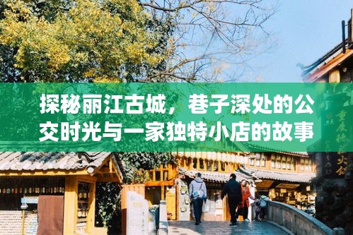 丽江古城探秘,公交时光与独特小店的巷弄故事