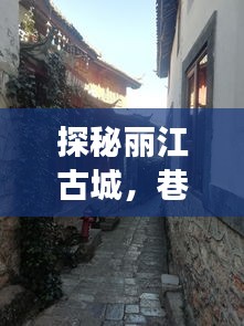 丽江古城探秘,公交时光与独特小店的巷弄故事